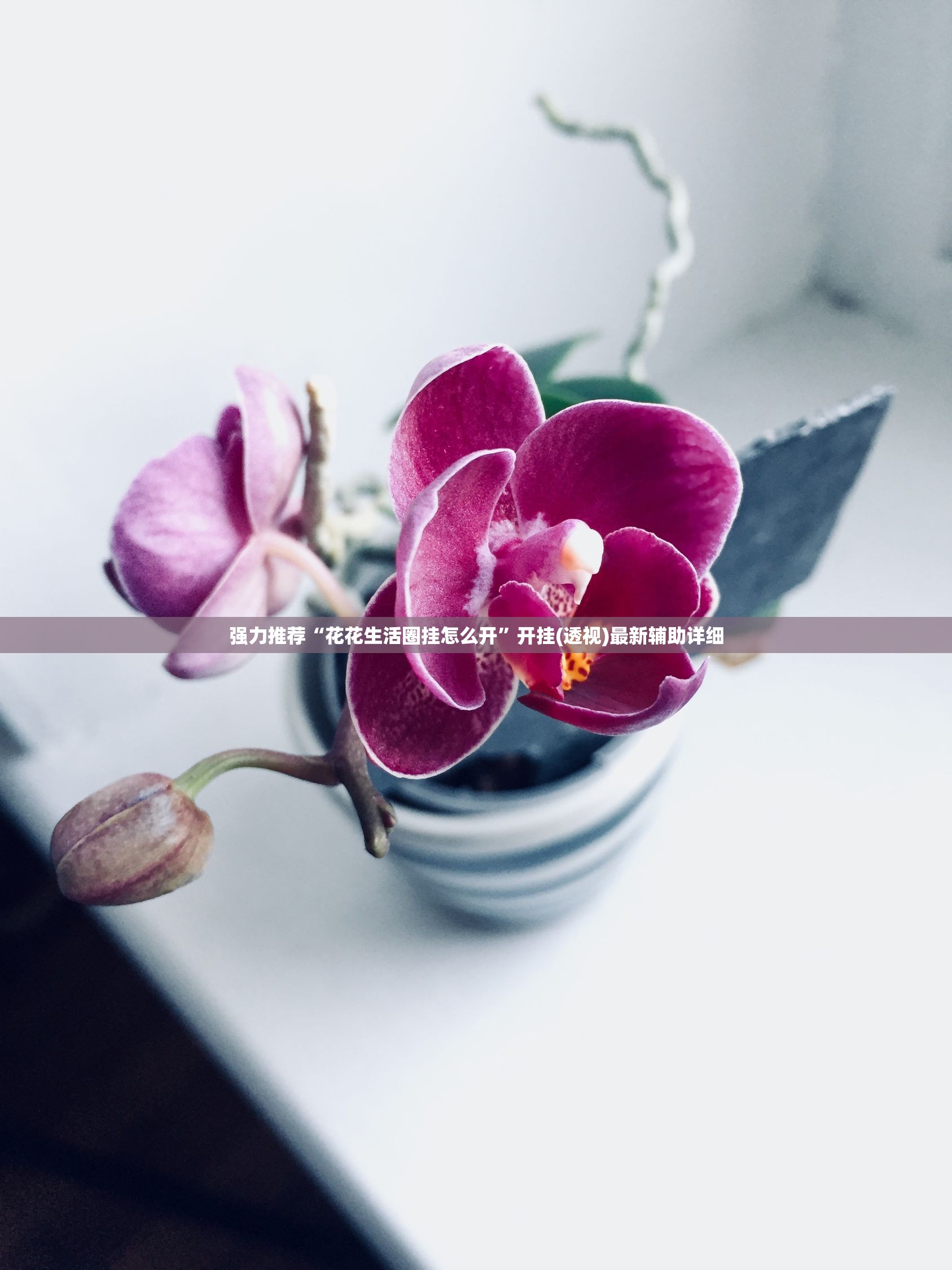 强力推荐“花花生活圈挂怎么开”开挂(透视)最新辅助详细