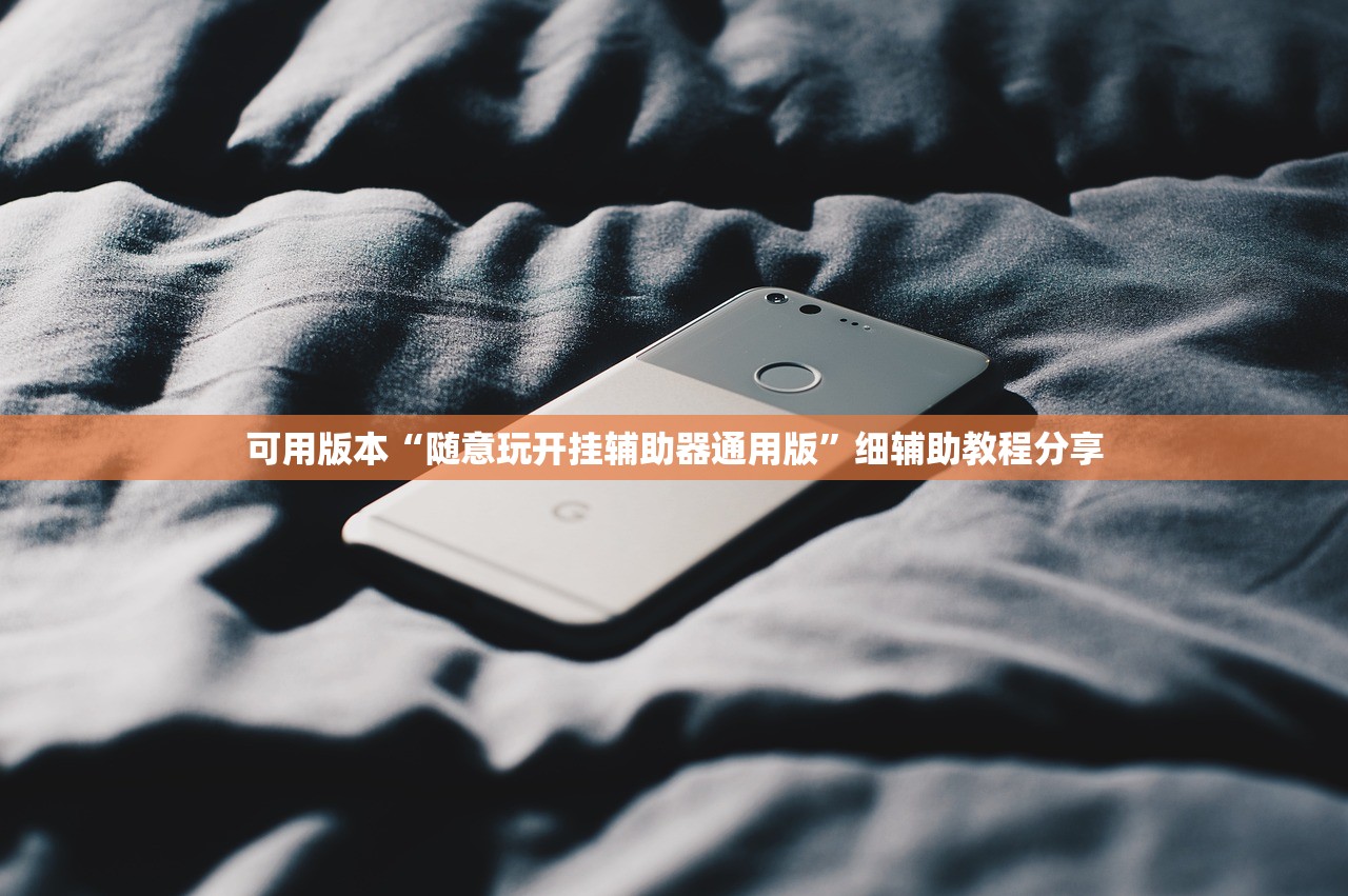 可用版本“随意玩开挂辅助器通用版”细辅助教程分享