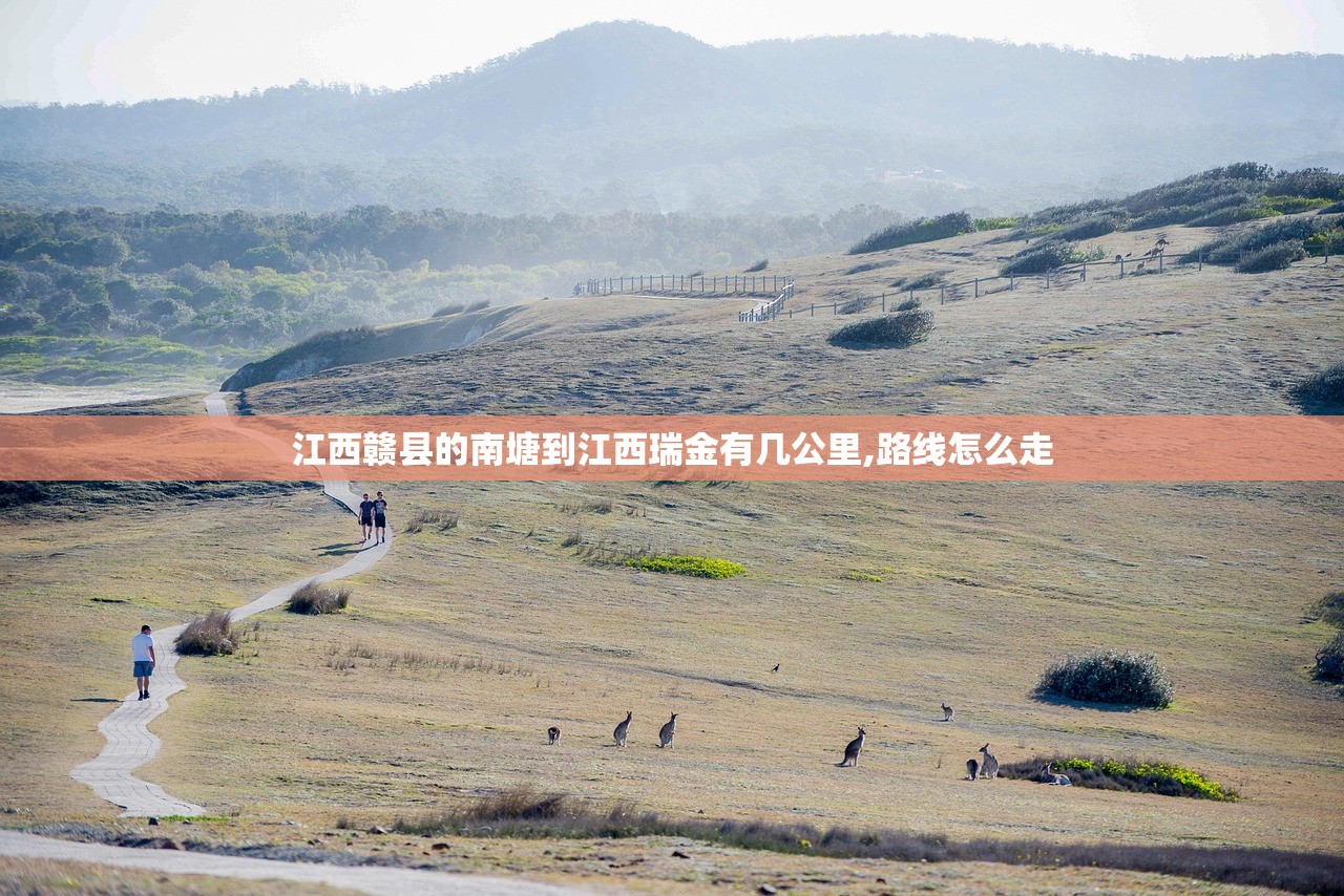 江西赣县的南塘到江西瑞金有几公里,路线怎么走